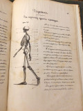 Sudska medicina za pravnike : predavanja na Velikoj školi Aćima Medovića doktora medicine 1865 (rukopis. litografija)