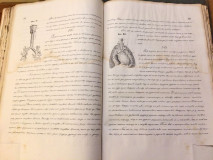 Sudska medicina za pravnike : predavanja na Velikoj školi Aćima Medovića doktora medicine 1865 (rukopis. litografija)