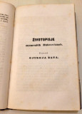 Dubrovnik : Cvijet narodnoga knjižtva za god. MDCCCLI Matija Ban, Medo Pucić (1852)