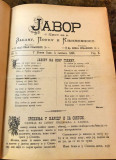JAVOR list za zabavu, pouku i književnost : za godinu 1883