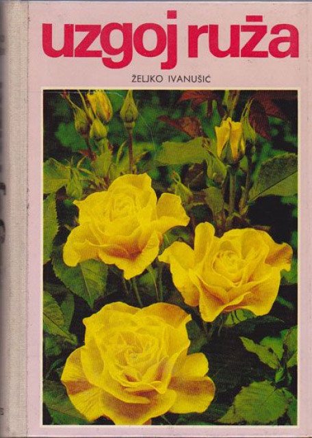Uzgoj ruža - Željko Ivanušić