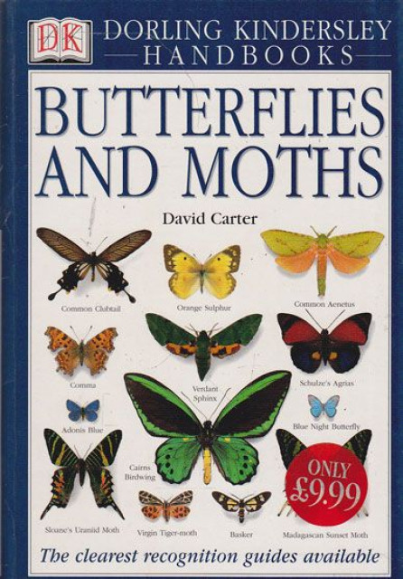 Butterflies and moths - David  Carter