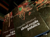 Dragoslav Mihailović : Dela, knjige 1-6
