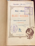 Milje i Omilje ili Milica i Neveka : Cjelokupni zbornik ljubavnih pjesama - Jovan Sundečić (1893)