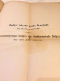 Budžet Opštine Beogradske za godinu 1918/1919 : Haushaltungs budget der Stadtgemeinde Belgrad pro 1918/1919