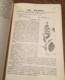 Gajenje lekovitog začinskog i aromatičnog bilja - Oton L. Henigsberg Gajenje lekovitog začinskog i aromatičnog bilja - Oton L. Henigsberg