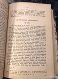 Istorija Novoga Sada - Melhior Erdujhelji (1894)