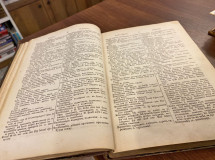 Deutsch-serbisches Worterbuch von Vuk Steph. Karadschitsch (1872)
