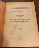 Trst i ostali italijanski zahtevi na nasem krajnjem zapadu - Ing. Dragutin Gustincic (1915)
